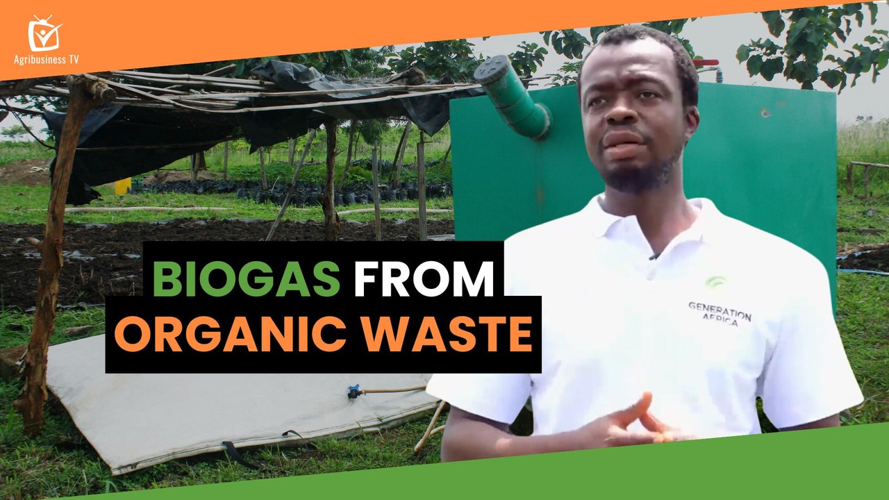 Côte d'Ivoire: Biogas from organic waste