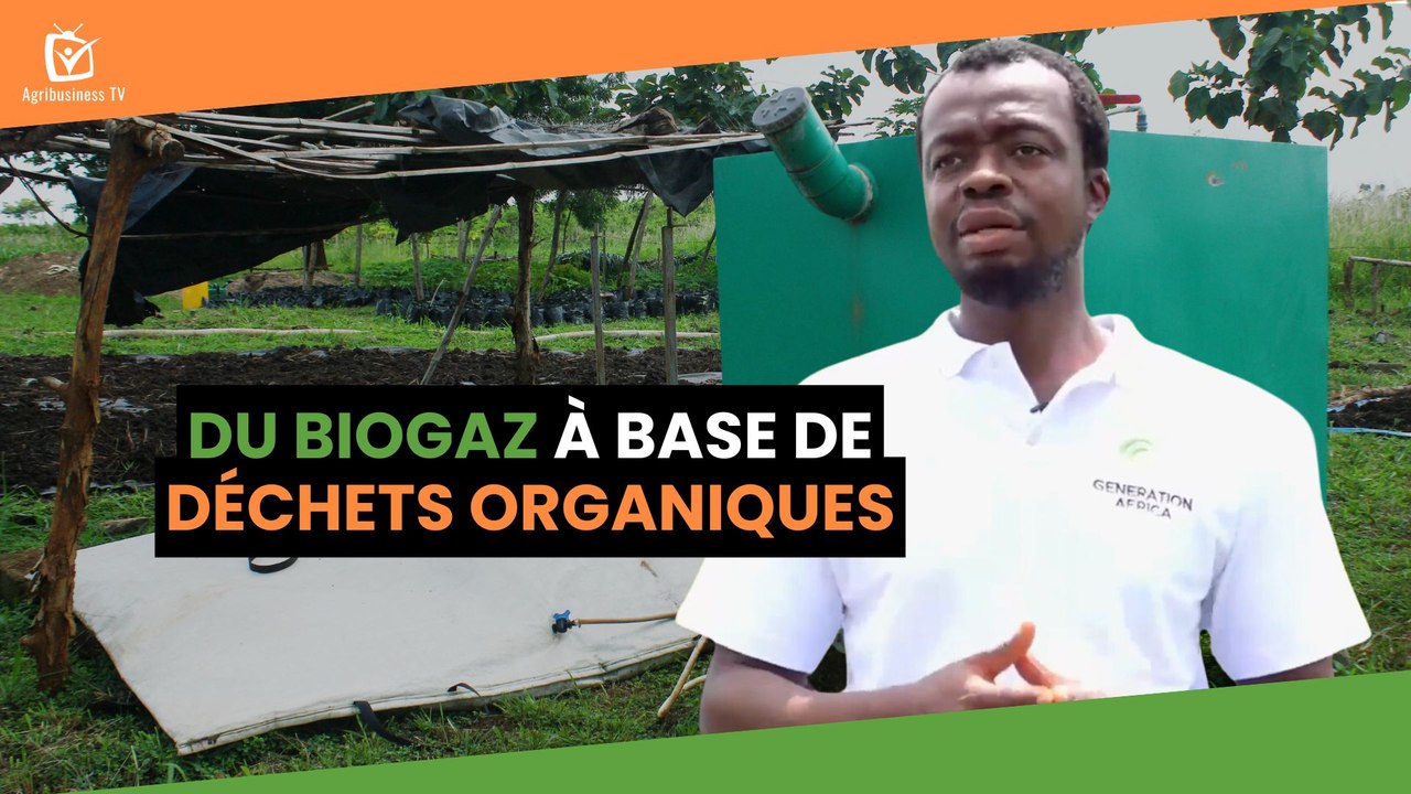 Côte d'Ivoire : Du biogaz à base de déchets organiques