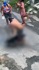 Cachorro foge de casa mata poodle