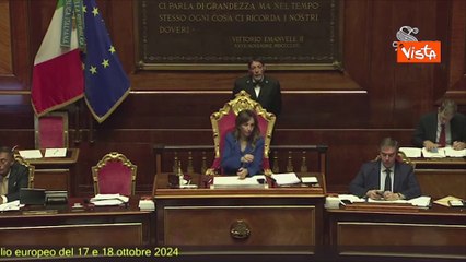 Patuanelli: "Meloni ha offeso il gruppo M5s, inaccettabile che ci definisca incapaci"