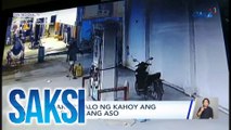 Lalaki, pinalo ng kahoy ang likod ng isang aso | Saksi
