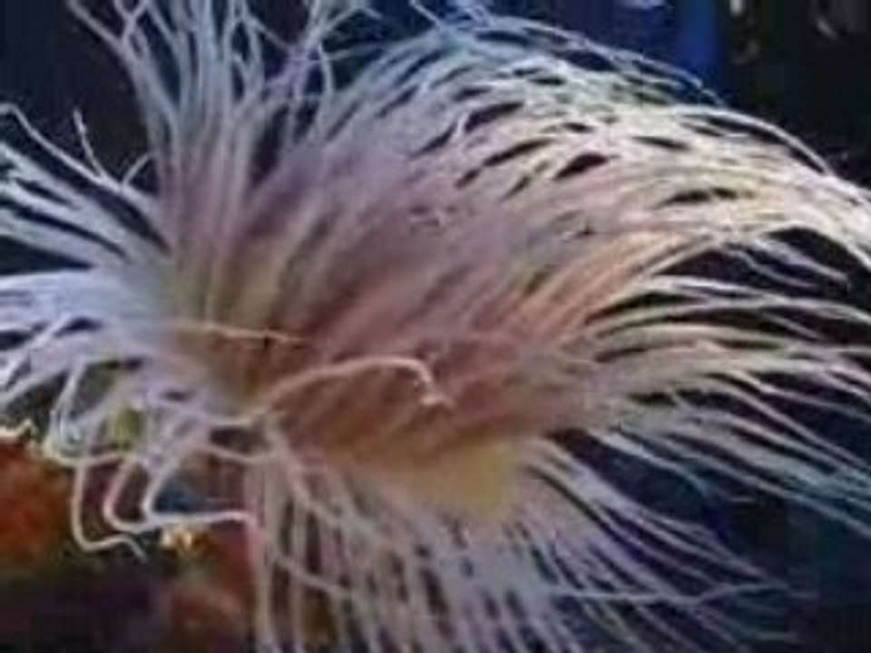 Argonaut.tv - sendung 18