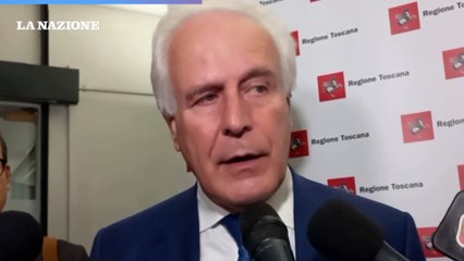 Dacia Maraini, Pegaso all'impegno letterario e sociale