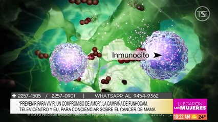 Llegaron las Mujeres - 15 de octubre de 2024