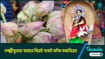 লঙ্কা ১৬০, বেগুন ১২০ টাকা কিলো! লক্ষ্মীপুজোয় বাজারে গিয়েই পকেট ফাঁকা মধ্যবিত্তের