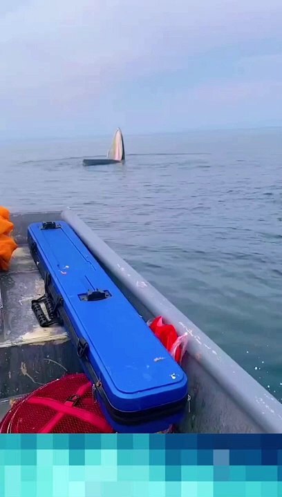 Most dangerous north sea
