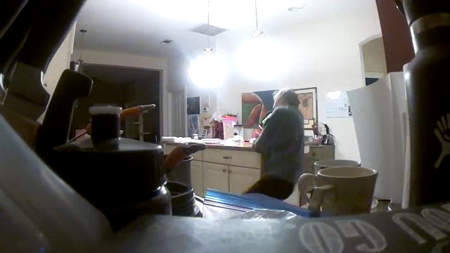 Woman Slips and Falls After Cat Knocks Over Water Bottle