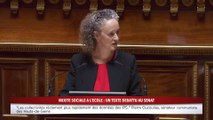 100% Sénat - Mixité sociale à l'école : un texte débattu au Sénat