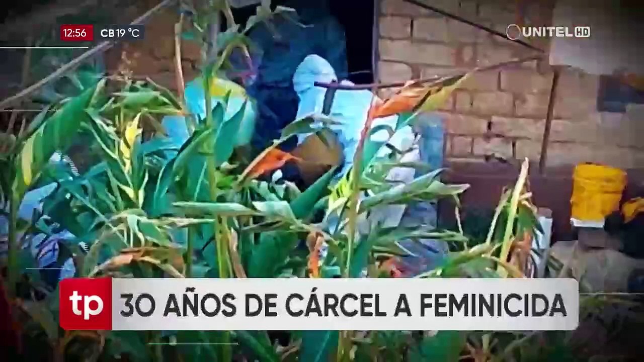 Niño de seis años fue testigo de cómo su padre mató a su madrastra con un cuchillo; buscan apoyo psicológico