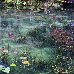 BOUM BANG - Étang de Monet, Gifu Prefecture, Seki, Itadori,