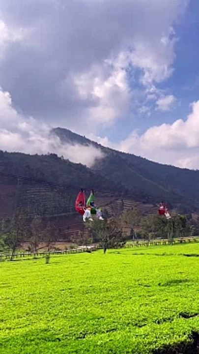 kebun teh tambi Wonosobo Jawa Tengah