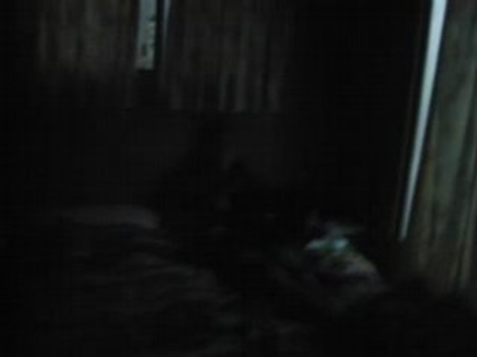 Tempête tropicale a Spot x