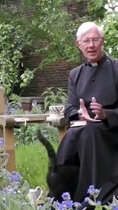 Cat enters cat disco club through priest robe