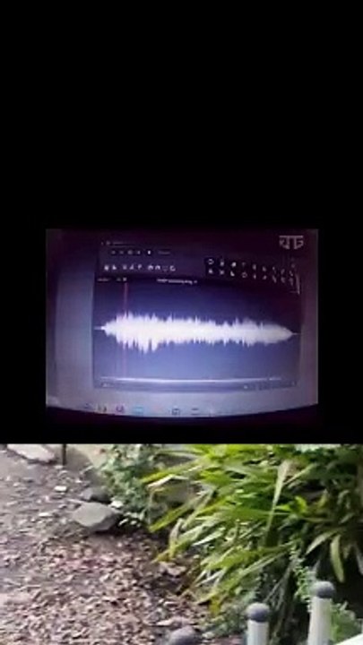 crazy frog with frog cat and dog frog screaming