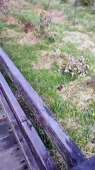 kawah Dieng Wonosobo