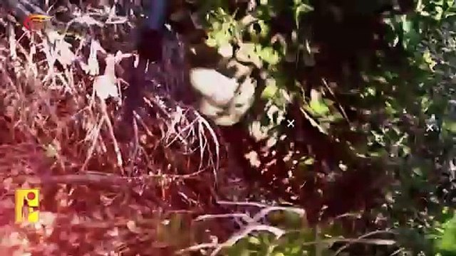 الملحمة البطولية - ومضات الميادين