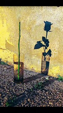 Teach you how to take high-end photos with your mobile phone...