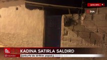 Şanlıurfa'da birlikte yaşadığı kadına satırla saldırdı