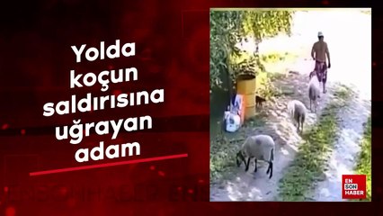 Yolda koçun saldırısına uğrayan adam