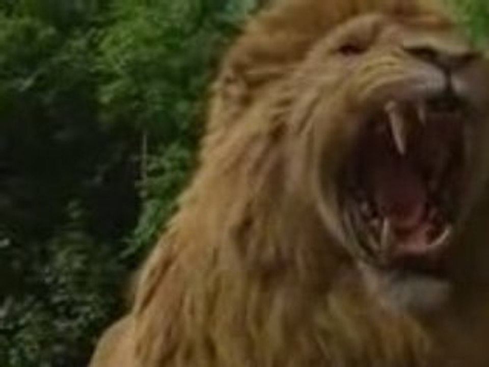 Le Monde de Narnia chapitre 2 : Le Prince Caspian Trailer #1
