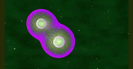 Multiplicação de Células