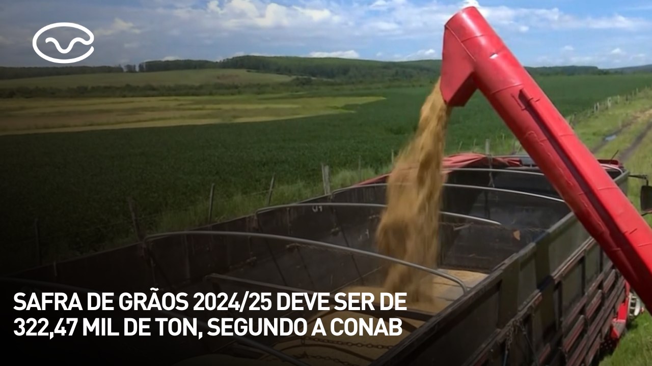 Safra de grãos 2024/25 deve ser de 322,47 mil de ton, segundo a Conab