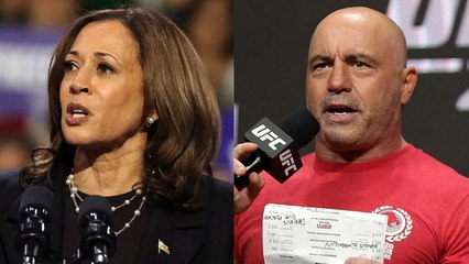 Video herunterladen: Kamala Harris May Appear on Joe Rogan's Podcast 'The Joe Rogan Experience' | THR News Video