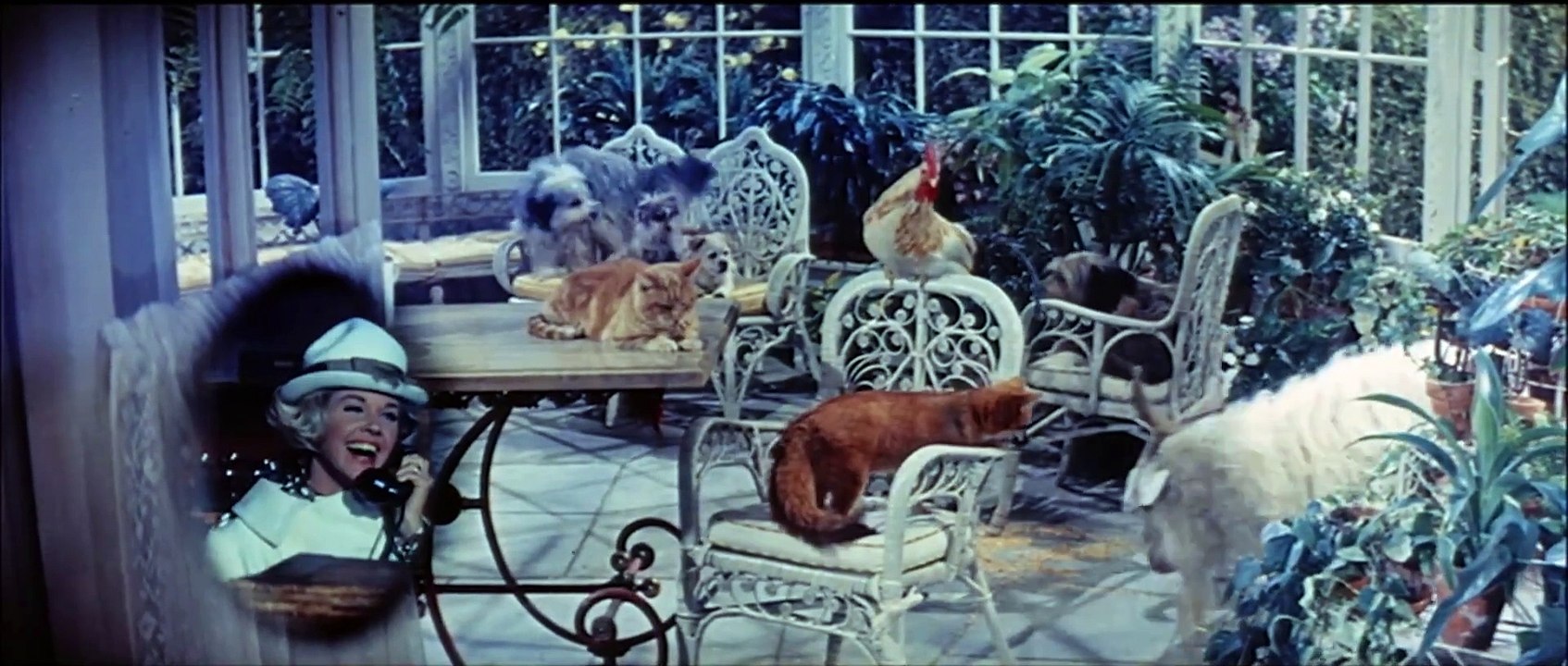 Bitte nicht stören | movie | 1965 | Official Trailer