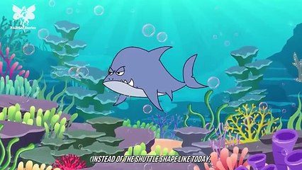 King of the Sea | Best Of Fairy Tales | Bedtime Stories