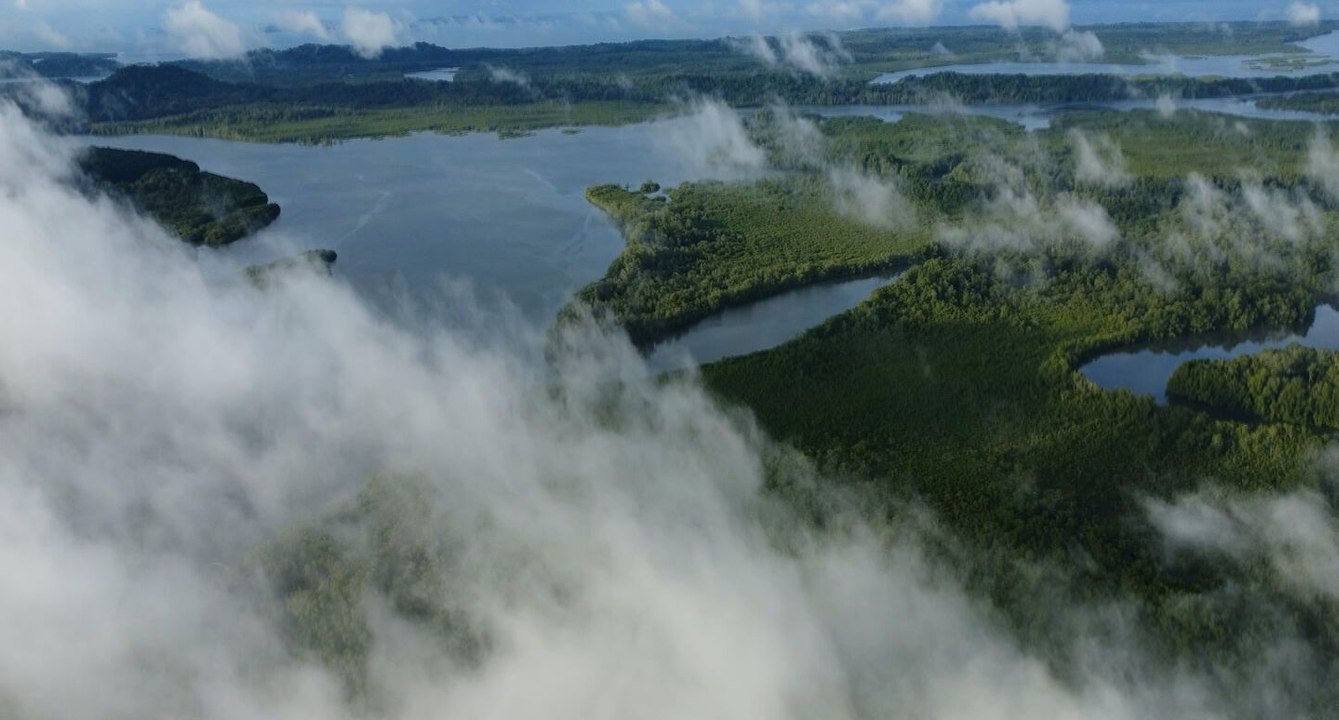 Ambientalistas realizan exposición sobre la conservación de manglares