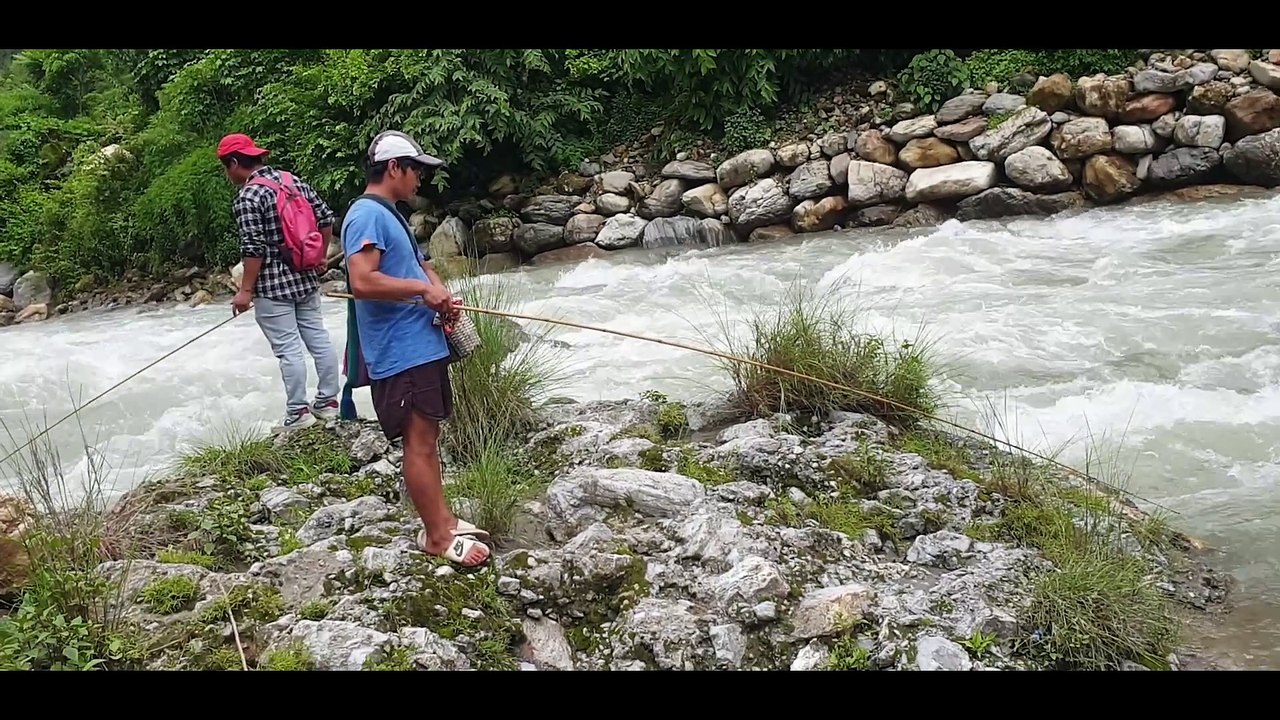 Hook and Rod Fishing in Nepal | Angling with Bamboo Stick | Asala Fishing |