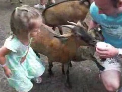 Guadeloupe - 11/04/2008 - Jardin Botanique à Deshaies