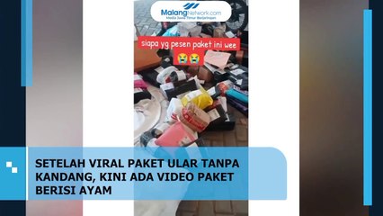 Viral! Paket Ayam Tanpa Kandang