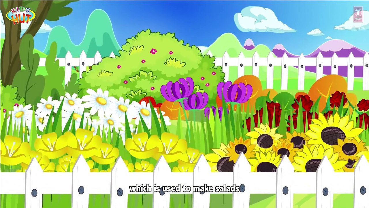 English Kids Story Animation _11