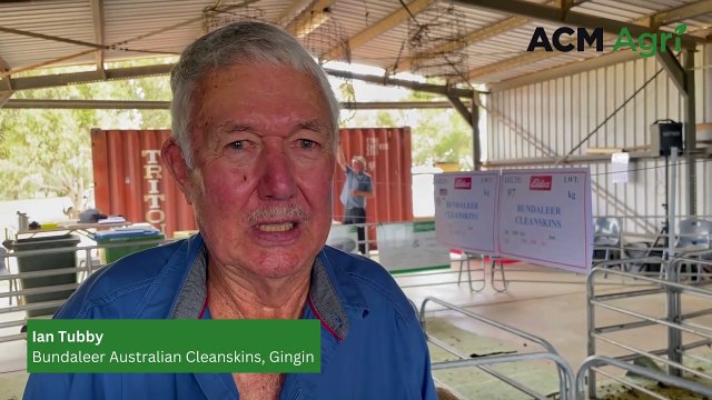 Top-priced ram reaches $4000 at Elders Gingin Invitational Ram Sale | October 15, 2024 | Farm Weekly