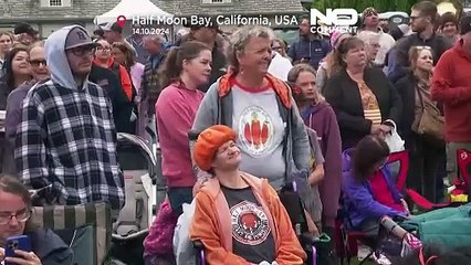 NO COMMENT: Esta es la calabaza gigante que ha ganado un concurso en California