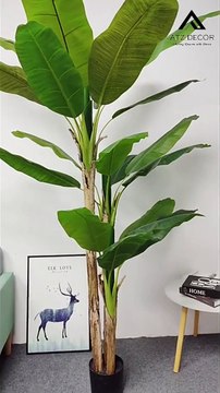 Thanh lý cây chuối quê giả chất lượng cao, mẫu đẹp, giá ưu đãi, bảo hành 12 tháng