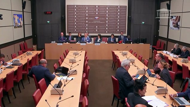 Commission des affaires économiques : M. Philippe Mauguin, président de l’Institut national de recherche pour l’agriculture, l’alimentation et l’environnement (INRAE), dont la reconduction est proposée - Mardi 15 octobre 2024