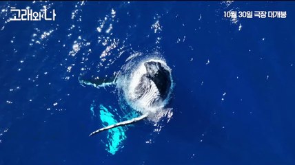 극장판 고래와 나 | movie | 2024 | Official Teaser