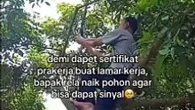 Demi Dapat Sertifikat Prakerja Buat Lamar Kerja, Bapak Ini Rela Naik Phon Agar Bisa Dapat Sinyal