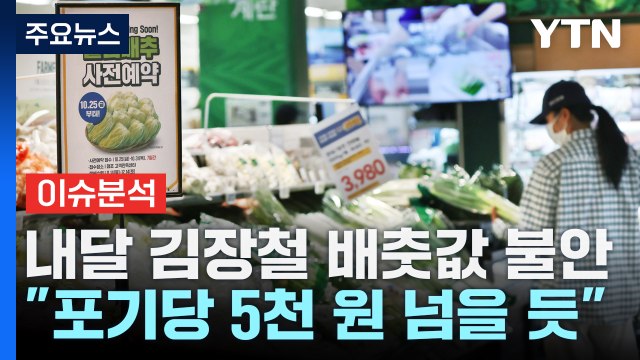[스타트경제] 11월 김장철 배춧값 불안... 포기당 첫 5천 원 돌파 / YTN