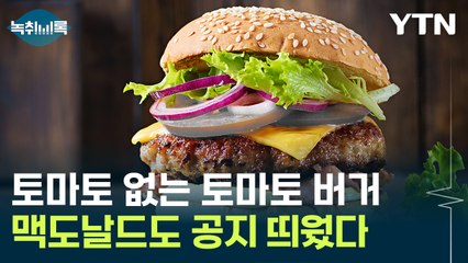 토마토 없는 토마토 버거...맥도날드도 공지 띄웠다 [Y녹취록] / YTN