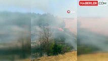 Hisarcık'ta Orman Yangını: 2 Hektar Orman ve 6 Hektar Zirai Alan Zarar Gördü