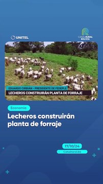 Lecheros construirán planta de forraje