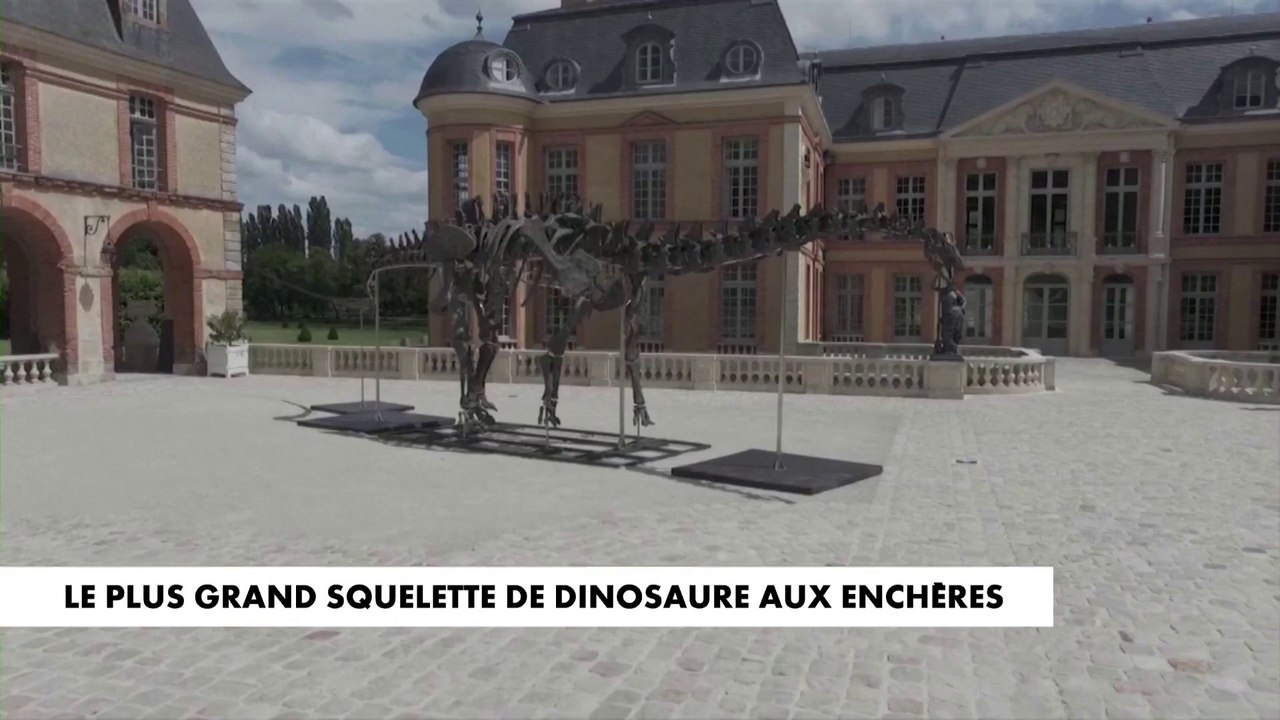 Le plus grand squelette de dinosaure aux enchères