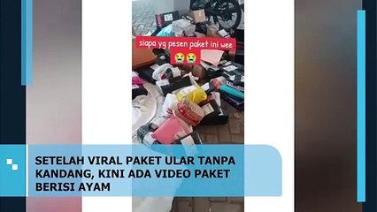 Setelah Viral Paket Ular, Kini Muncul Video Paket Berisi Ayam