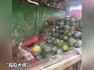 so funny video must watch