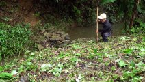 Dwarf Family Building Railings Against Floods and Dishes From Giant Mountain Centipedes