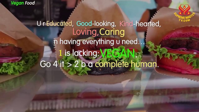 U r Educated, Good-looking, Kind-hearted, Loving, Caring n having everything u need… 1 is lacking: VEGAN. Go 4 it > 2 b a complete human