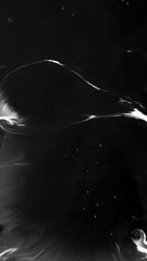 Ink splash effect (1)